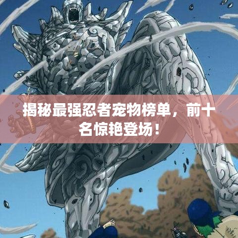 揭秘最强忍者宠物榜单,前十名惊艳登场!