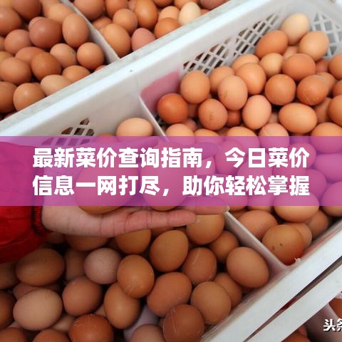 最新菜价查询指南，今日菜价信息一网打尽，助你轻松掌握市场行情！