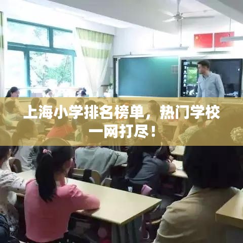上海小学排名榜单,热门学校一网打尽!