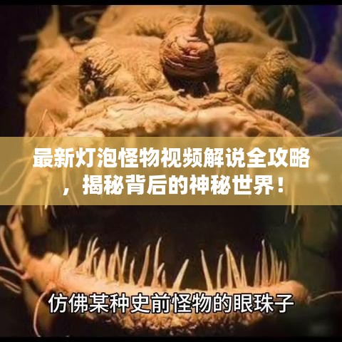 最新灯泡怪物视频解说全攻略，揭秘背后的神秘世界！