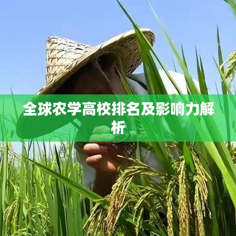全球农学高校排名及影响力解析