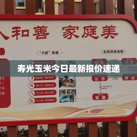 寿光玉米今日最新报价速递