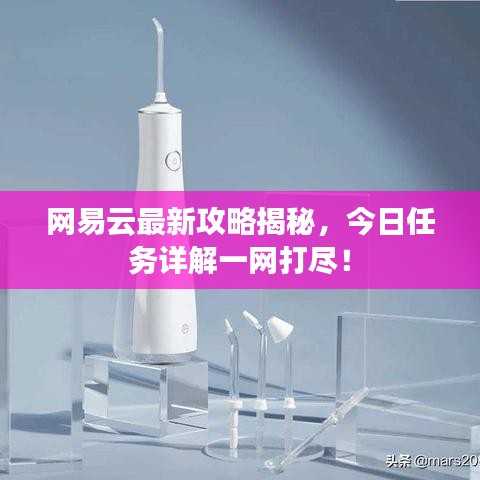 网易云最新攻略揭秘,今日任务详解一网打尽!