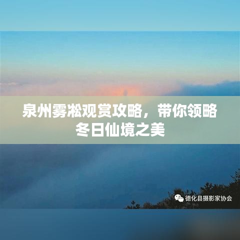 泉州雾凇观赏攻略,带你领略冬日仙境之美
