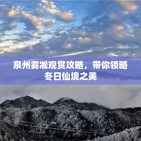 泉州雾凇观赏攻略,带你领略冬日仙境之美