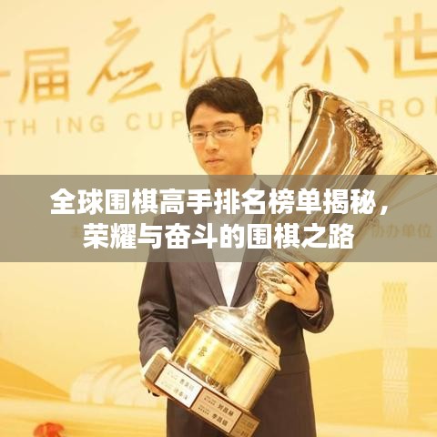 全球围棋高手排名榜单揭秘，荣耀与奋斗的围棋之路