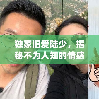 飞扬跋扈 第4页