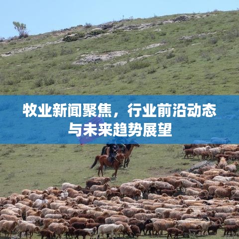 牧业新闻聚焦,行业前沿动态与未来趋势展望