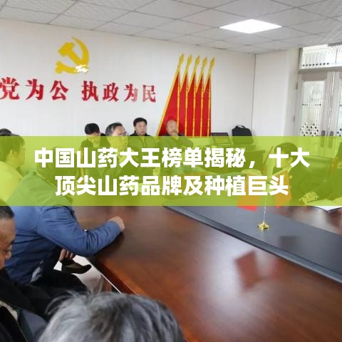 翰飞戾天 第3页