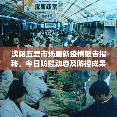 沈阳五爱市场最新疫情报告揭秘,今日防控动态及防控成果展示