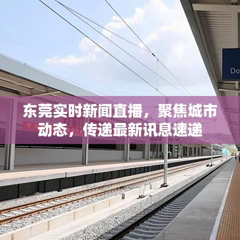 东莞实时新闻直播,聚焦城市动态,传递最新讯息速递