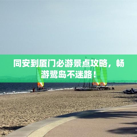 同安到厦门必游景点攻略,畅游鹭岛不迷路!