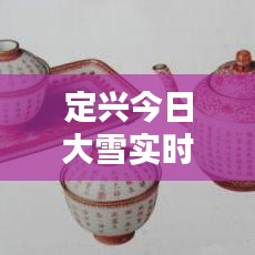 定兴今日大雪实时更新,最新情况查询报告