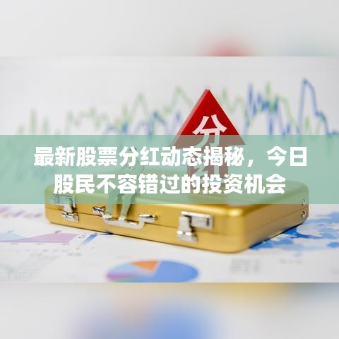 最新股票分红动态揭秘，今日股民不容错过的投资机会
