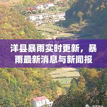 洋县暴雨实时更新,暴雨最新消息与新闻报道