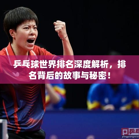 乒乓球世界排名深度解析,排名背后的故事与秘密!