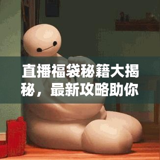直播福袋秘籍大揭秘,最新攻略助你赢取丰厚福利!