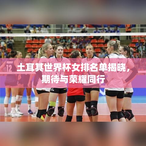 土耳其世界杯女排名单揭晓,期待与荣耀同行