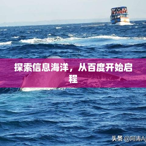 探索信息海洋，从百度开始启程