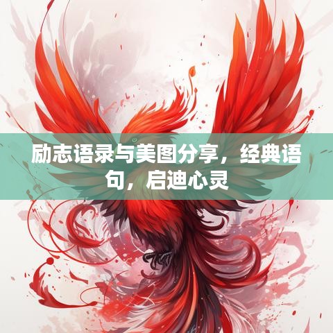 励志语录与美图分享,经典语句,启迪心灵