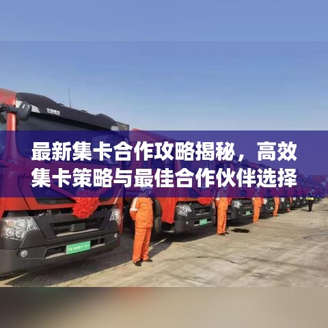 最新集卡合作攻略揭秘，高效集卡策略与最佳合作伙伴选择秘籍！