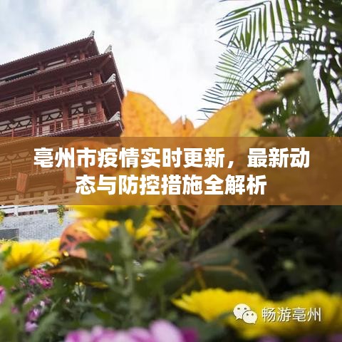 亳州市疫情实时更新,最新动态与防控措施全解析