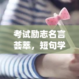 考试励志名言荟萃,短句学习之旅,激发无限潜能!