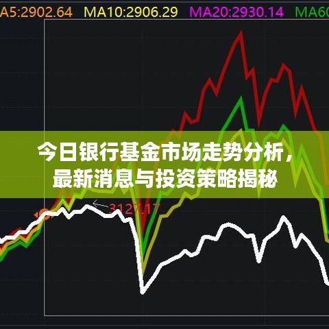 今日银行基金市场走势分析,最新消息与投资策略揭秘