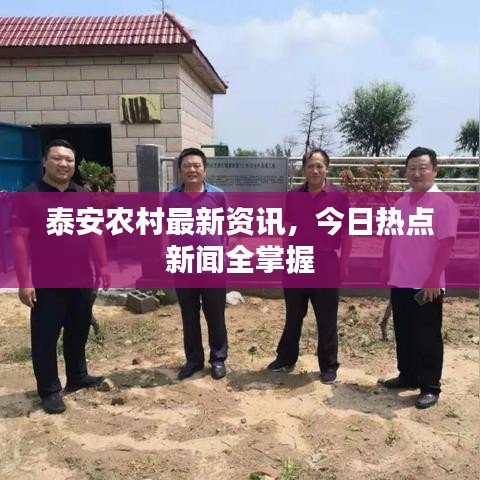 泰安农村最新资讯,今日热点新闻全掌握
