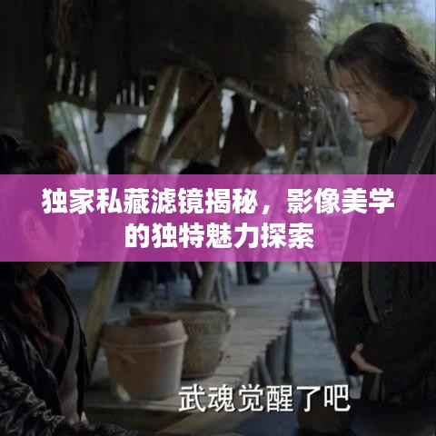 独家私藏滤镜揭秘,影像美学的独特魅力探索