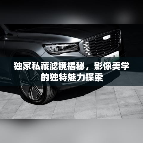 独家私藏滤镜揭秘,影像美学的独特魅力探索