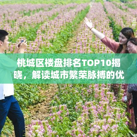 倦鸟思归 第3页