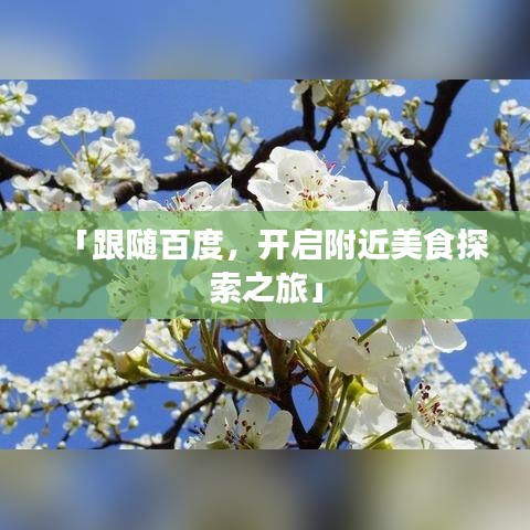 「跟随百度,开启附近美食探索之旅」