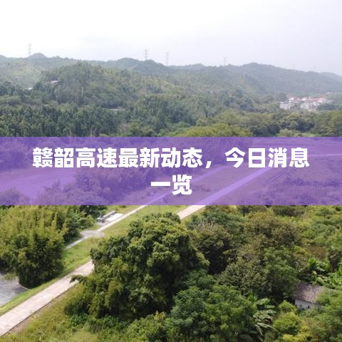 赣韶高速最新动态,今日消息一览