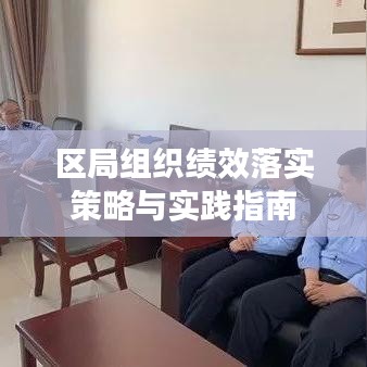 区局组织绩效落实策略与实践指南