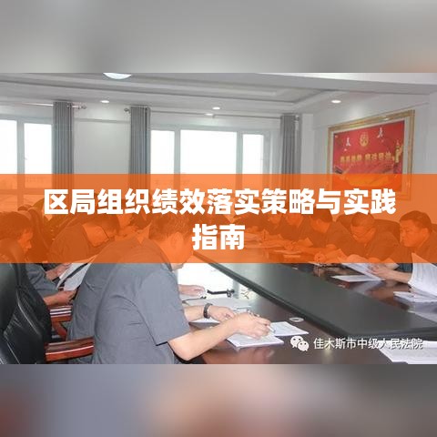 区局组织绩效落实策略与实践指南