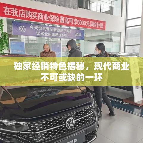 独家经销特色揭秘，现代商业不可或缺的一环