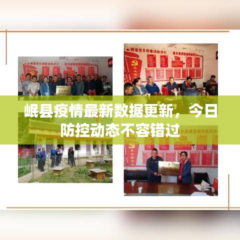 岷县疫情最新数据更新,今日防控动态不容错过