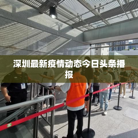 花枝招展 第3页