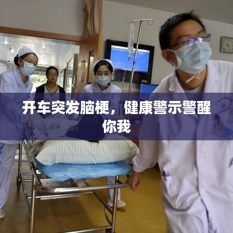 虫言鸟迹 第3页