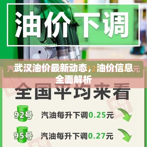 武汉油价最新动态,油价信息全面解析