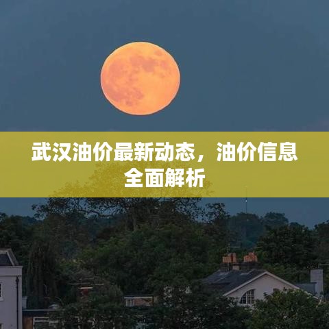 武汉油价最新动态,油价信息全面解析