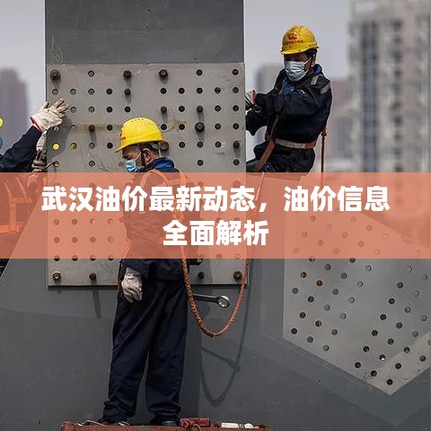 武汉油价最新动态,油价信息全面解析