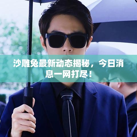 沙雕兔最新动态揭秘，今日消息一网打尽！