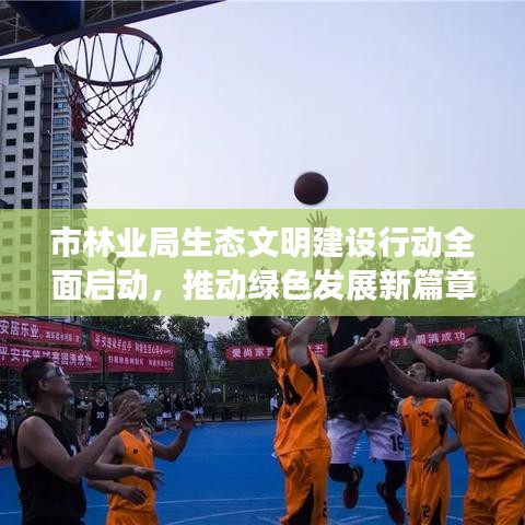 市林业局生态文明建设行动全面启动,推动绿色发展新篇章开启