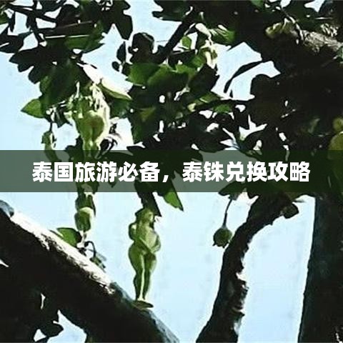 空谷幽兰 第3页