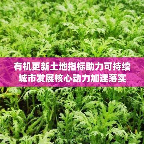 有机更新土地指标助力可持续城市发展核心动力加速落实