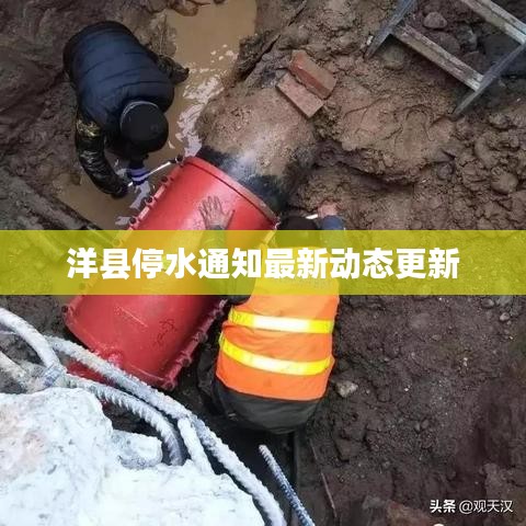 洋县停水通知最新动态更新