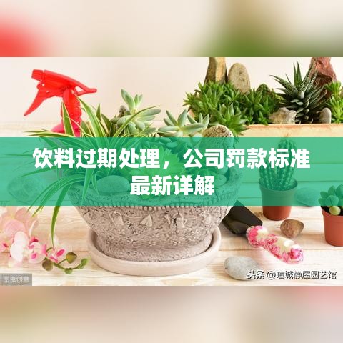 饮料过期处理,公司罚款标准最新详解