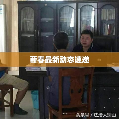 蕲春最新动态速递